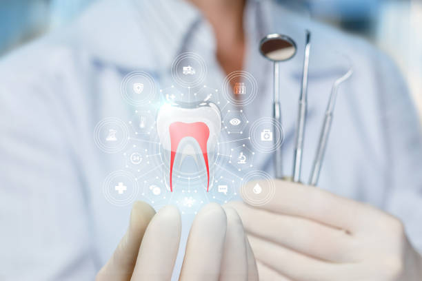 Best Preventive Dentistry  in Walker Mill, MD